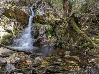 Cradle Mountain-Lake St. Clair National Park - Photo 4
