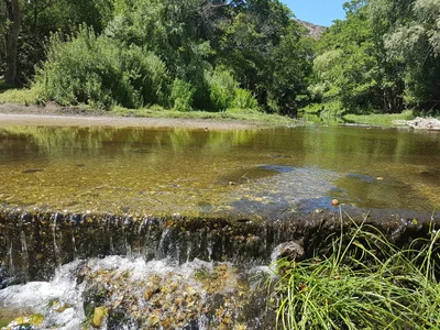 Baviaanskloof Nature Reserve - Photo 5