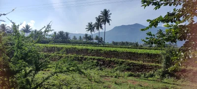 Chinnamanur - Photo 3