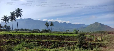 Chinnamanur - Photo 4