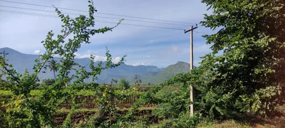 Chinnamanur - Photo 5