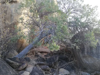 Kamanjab - Photo 4