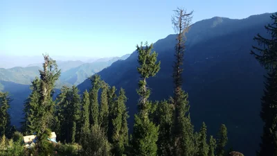 Shoja - Photo 3