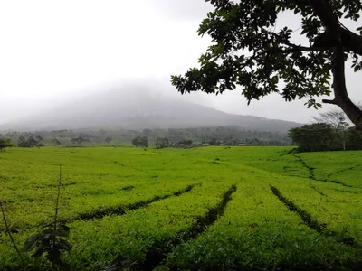 South Sumatra - Photo 2