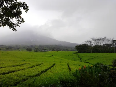 South Sumatra - Photo 3