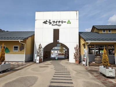 Sera-gun - Photo 3