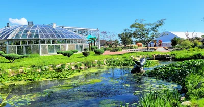 Uljin-gun - Photo 4