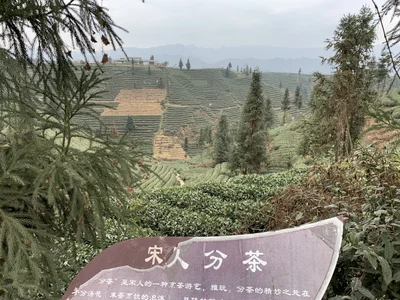 Mingshan - Photo 3
