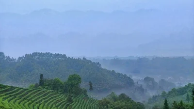 Mingshan - Photo 5