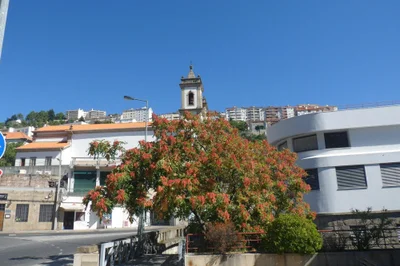 Covilha - Photo 2