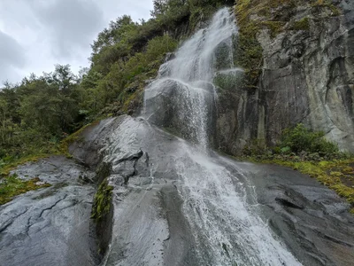 Queulat National Park - Photo 2