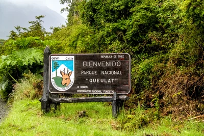 Queulat National Park - Photo 3