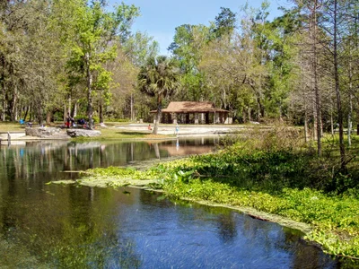 Wekiva Springs - Photo 4