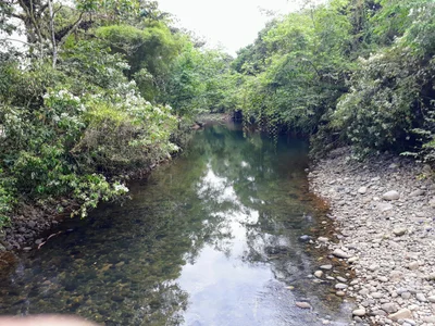 Puyo - Photo 3