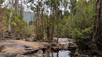 Murrindindi - Photo 5