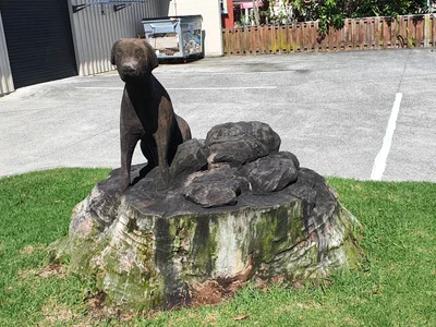Waipu - Photo 2