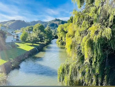 Nelson-Tasman Region - Photo 3