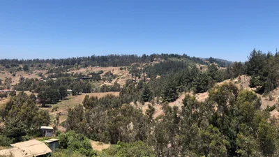 Navidad - Photo 5