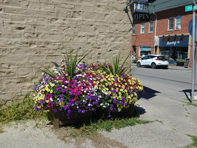 Westport - Photo 5