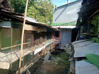 Ngawi - Photo 2