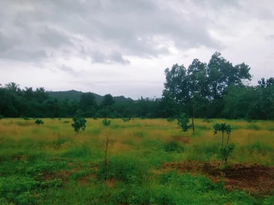 Sawantwadi - Photo 2