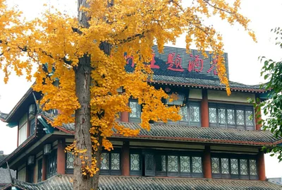 Guang'an - Photo 3