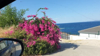 Karaburun - Photo 5