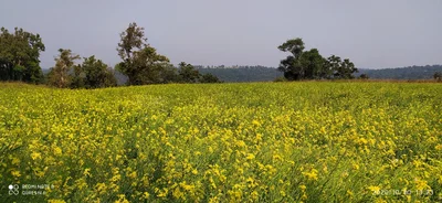 Kawardha - Photo 3