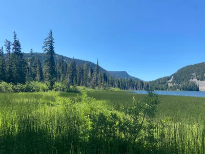 White Pass - Photo 3