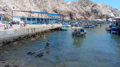 Quilca - Photo 4