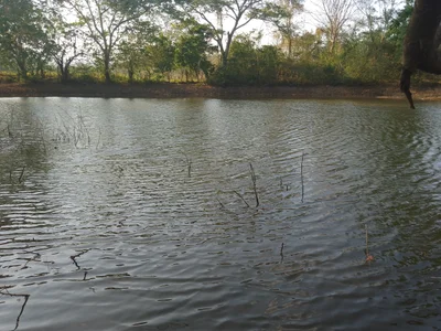 San Jacinto - Photo 2