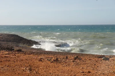 Camarones - Photo 2