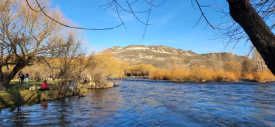 Junin de los Andes - Photo 5