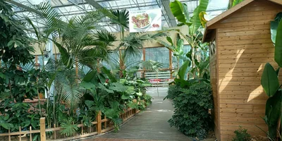 Huanggang - Photo 5