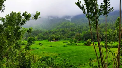 Morawaka - Photo 2