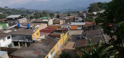 Pacho - Photo 2